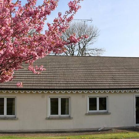 Sunny Bungalow Villa Courtown Exterior photo