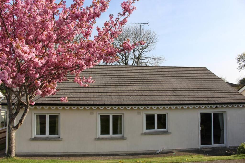 Sunny Bungalow Villa Courtown Exterior photo